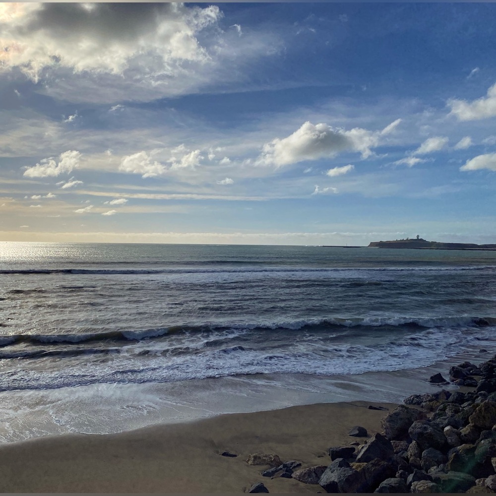 Meet your Posher, Alona